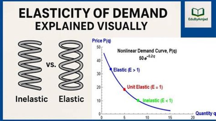 Are books elastic or inelastic?