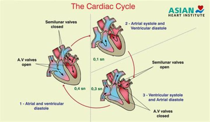 Are both sets of valves open during any part of the cycle
