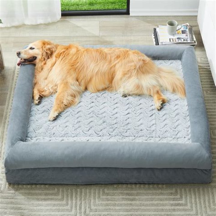 Are Kong dog beds washable