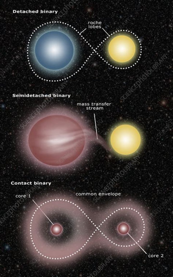Are most stars binary