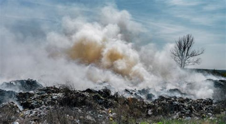 Are mulch fumes toxic?
