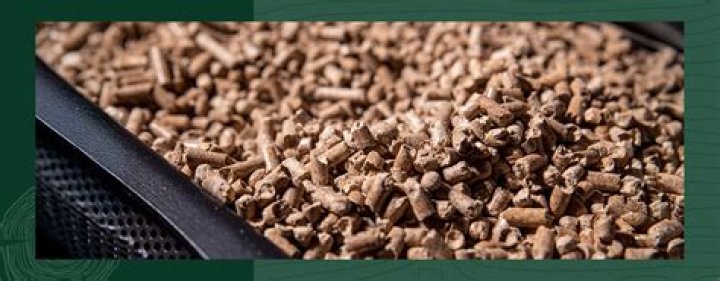 Are pellet stoves safe for your health