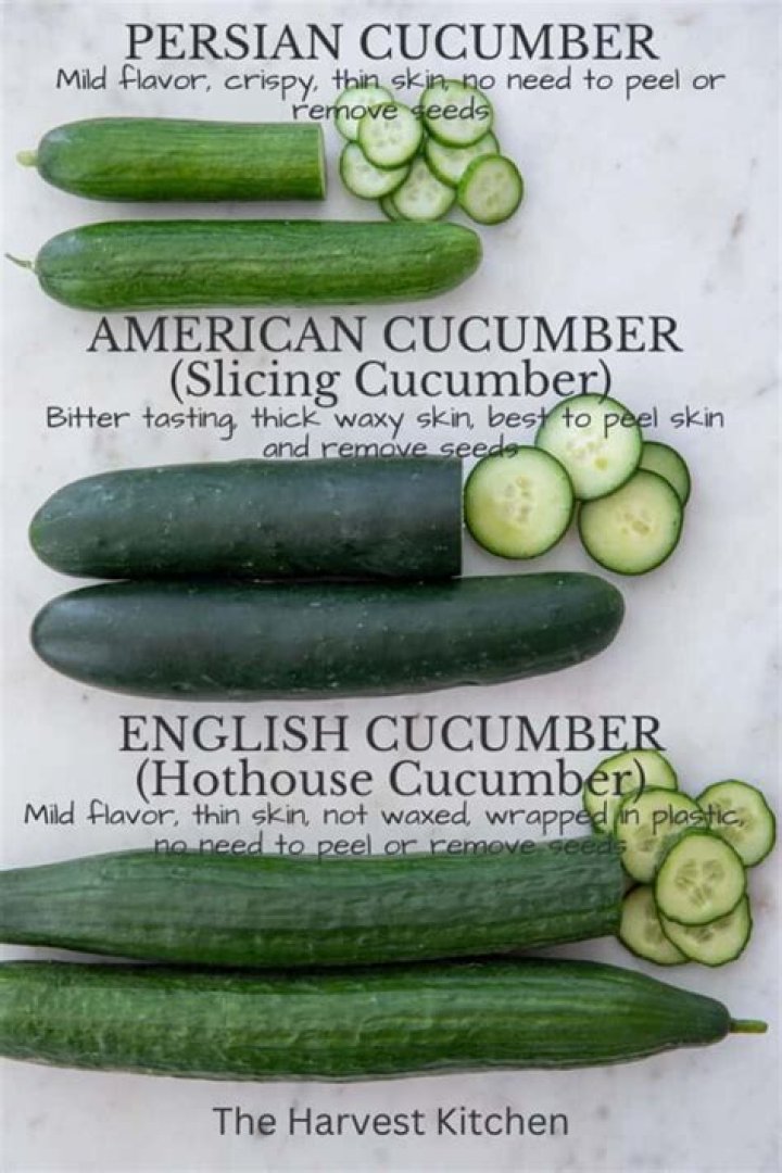 Are Persian cucumbers the same as mini cucumbers
