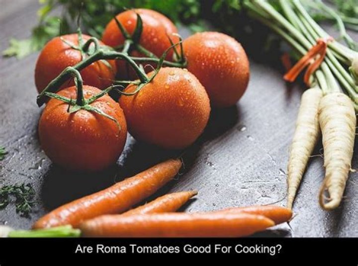 Are Roma tomatoes better
