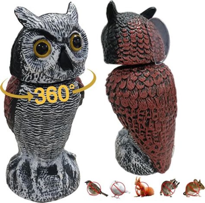 Are Squirrels afraid of owl statues