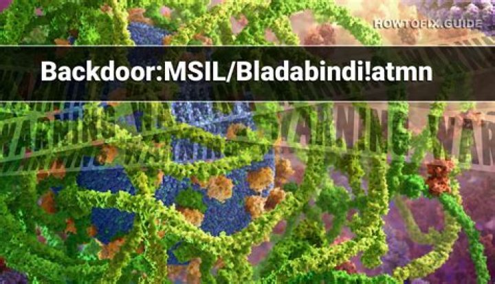 Backdoor.Bladabindi.MSIL