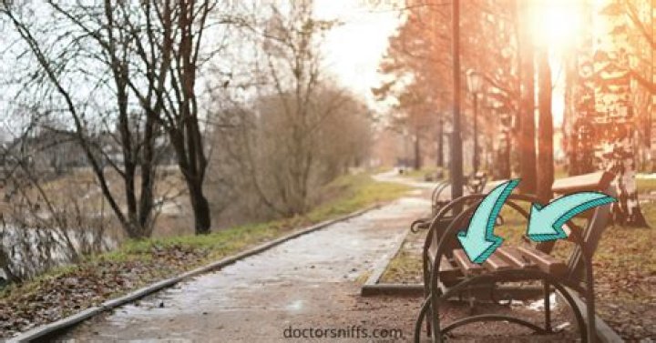 Can bed bugs come in from outside