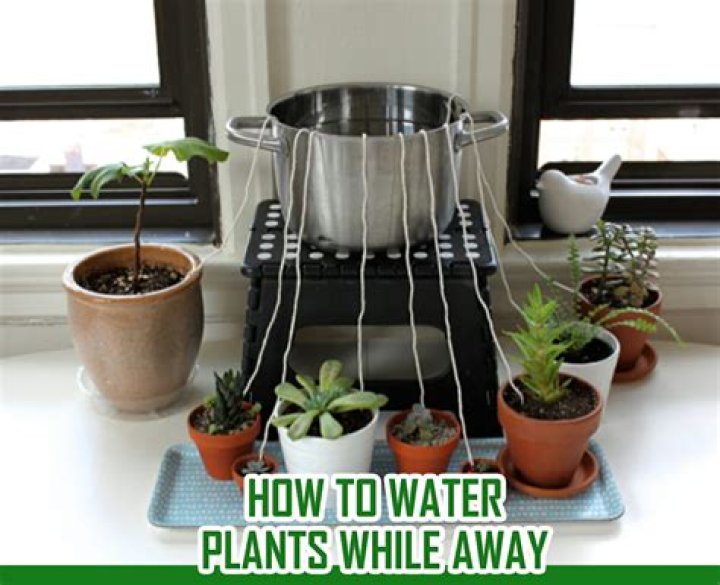 Can house plants be watered with distilled water