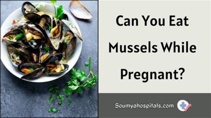 Can I eat mussels if I'm pregnant?