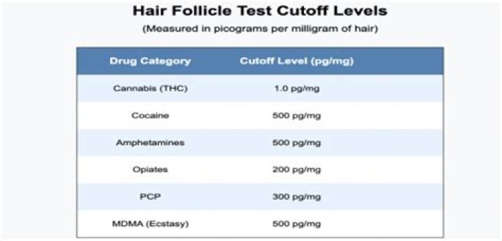 Can I refuse a hair follicle test for CPS?