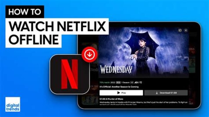 Can I watch Netflix without an Internet connection?