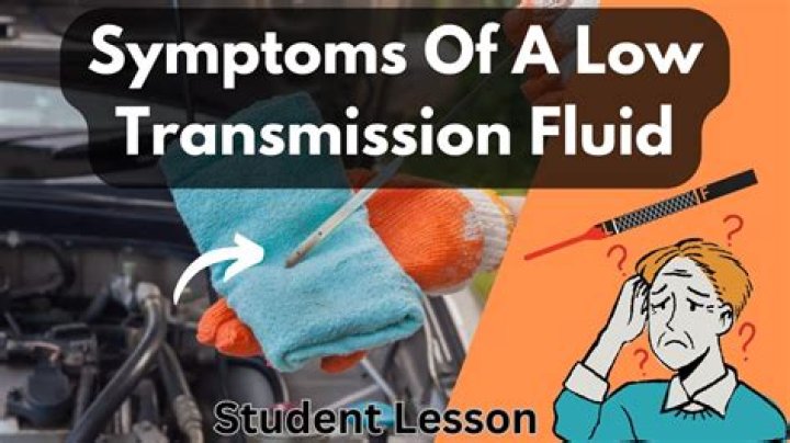 Can low transmission fluid cause squeaking