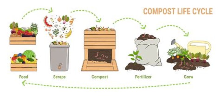 Can OSB be painted? | ContextResponse.com