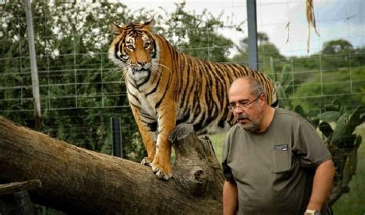 Can we keep Tiger as pet?