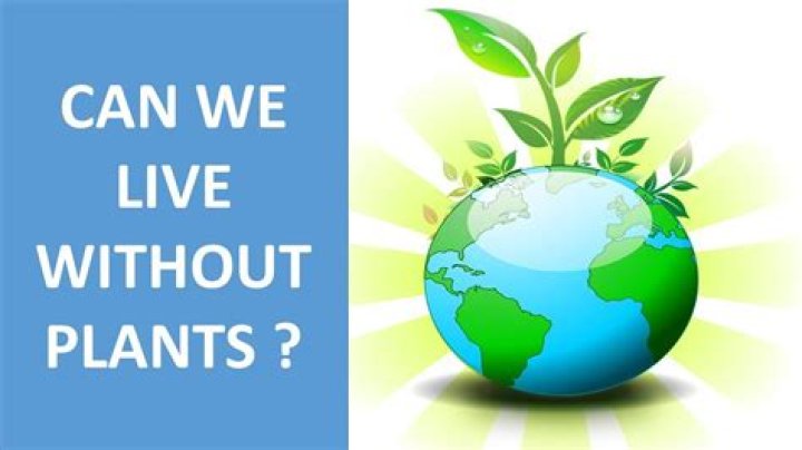 Can we live without plants?