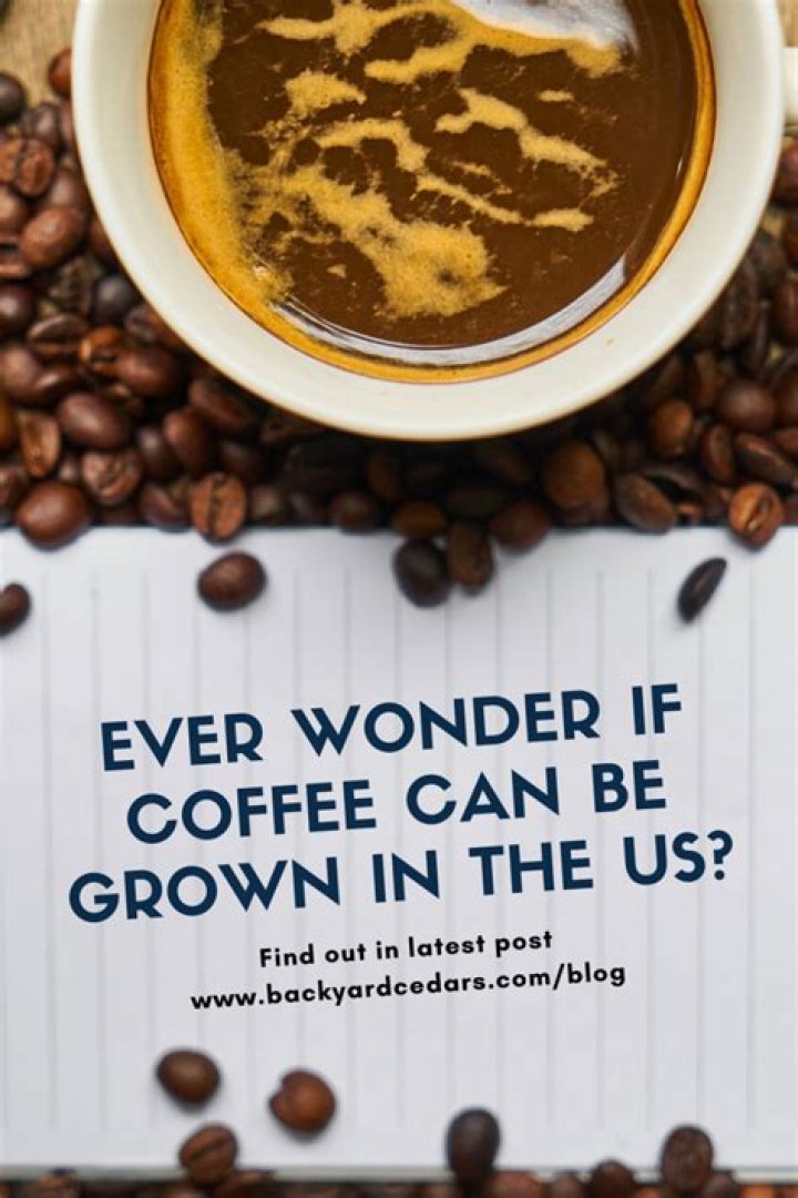 Can you grow coffee in Minnesota