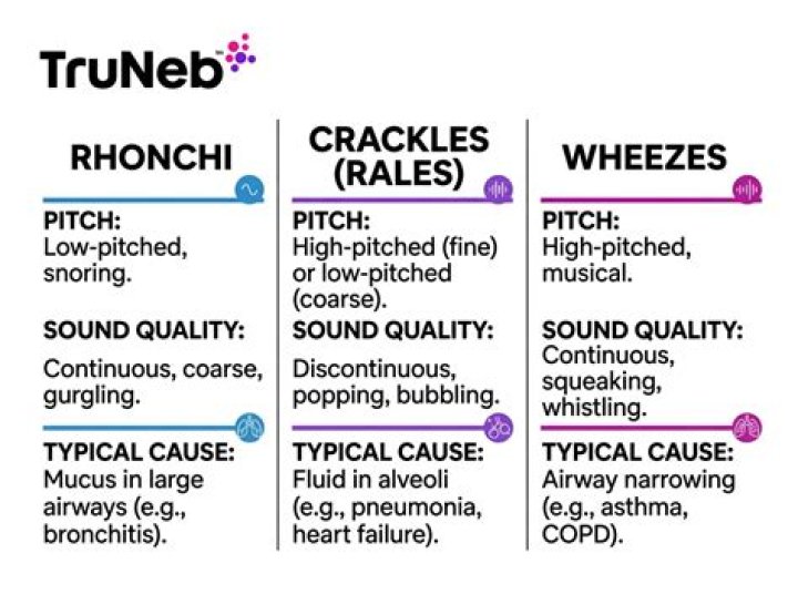 Can you hear stridor in the lungs