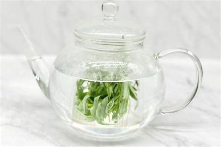 Can you make tarragon tea