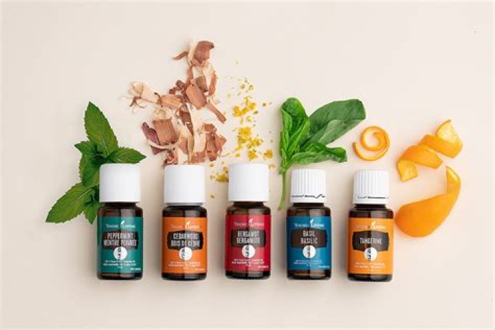 Can you put essential oils in an oil lamp