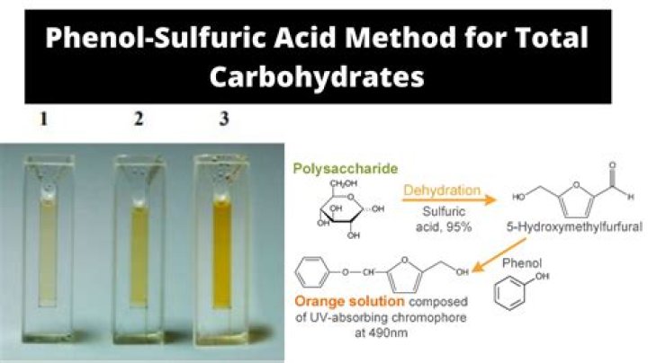 Can you put sulfuric acid in the toilet