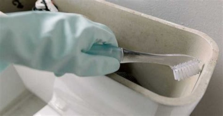 Can you put vinegar and baking soda in toilet?
