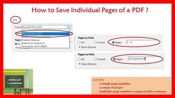 Can you save individual pages of a PDF?