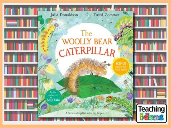 Can you touch woolly bear caterpillar?