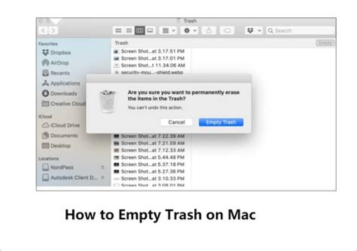 Can you undo Empty Trash Mac?