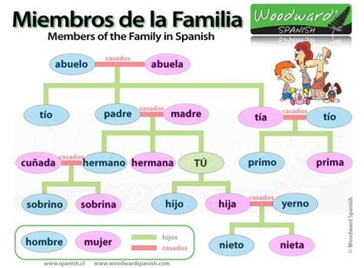 ¿Cuáles son los miembros de la familia?