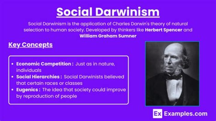 Did Henry George believe in social Darwinism?