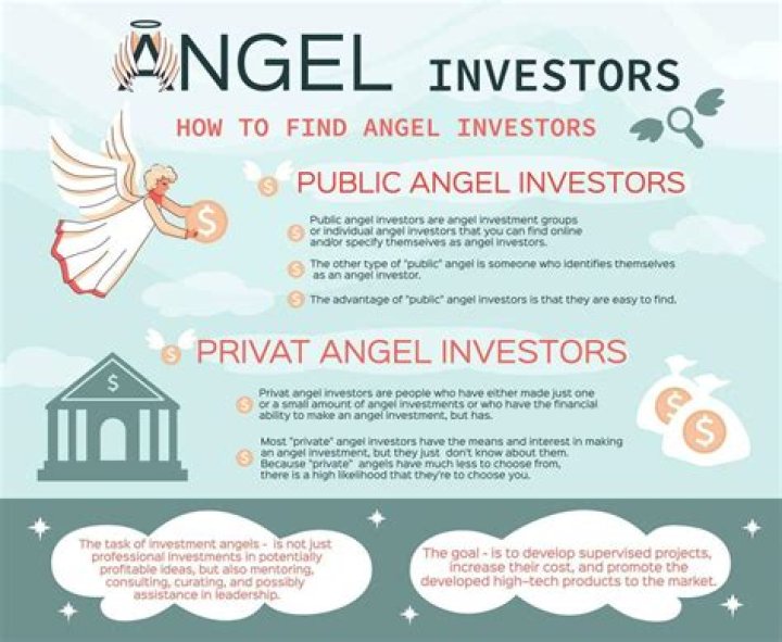 Do angel investors invest in ideas?