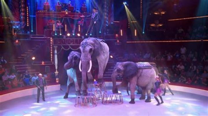 Do any circuses still exist?