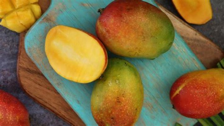 Do bandicoots eat mangoes?