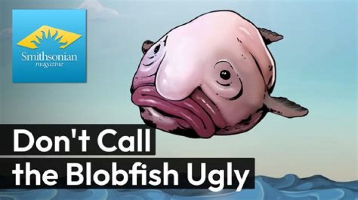 Do blobfish bite you?