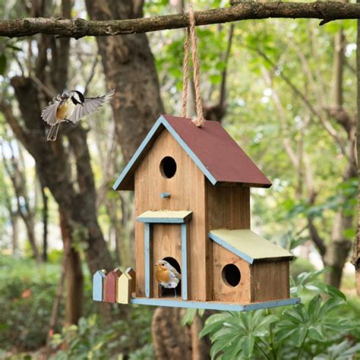 Do finches use bird houses
