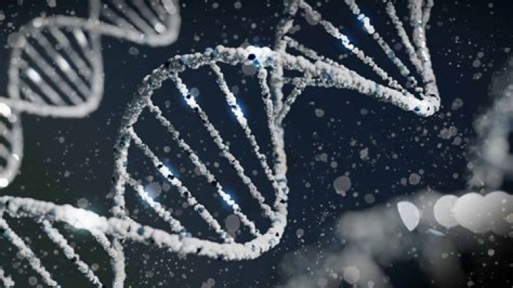 Do genetics play a role in addiction
