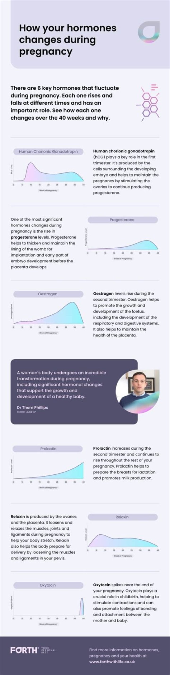 Do hormones change in third trimester