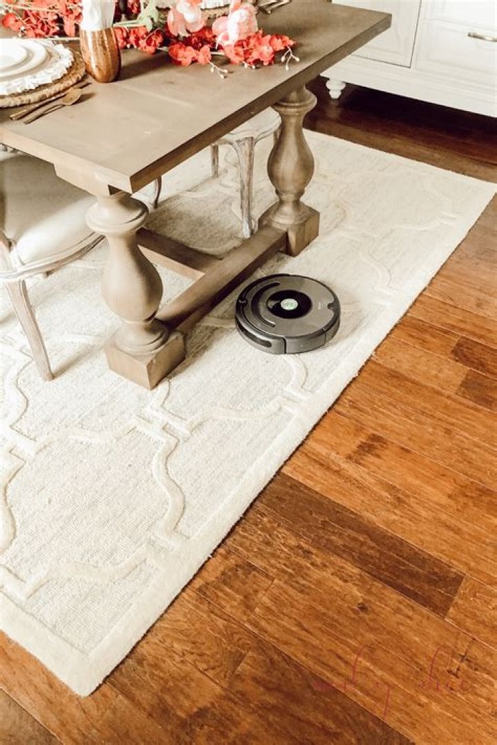 Do Roomba vacuums really work?