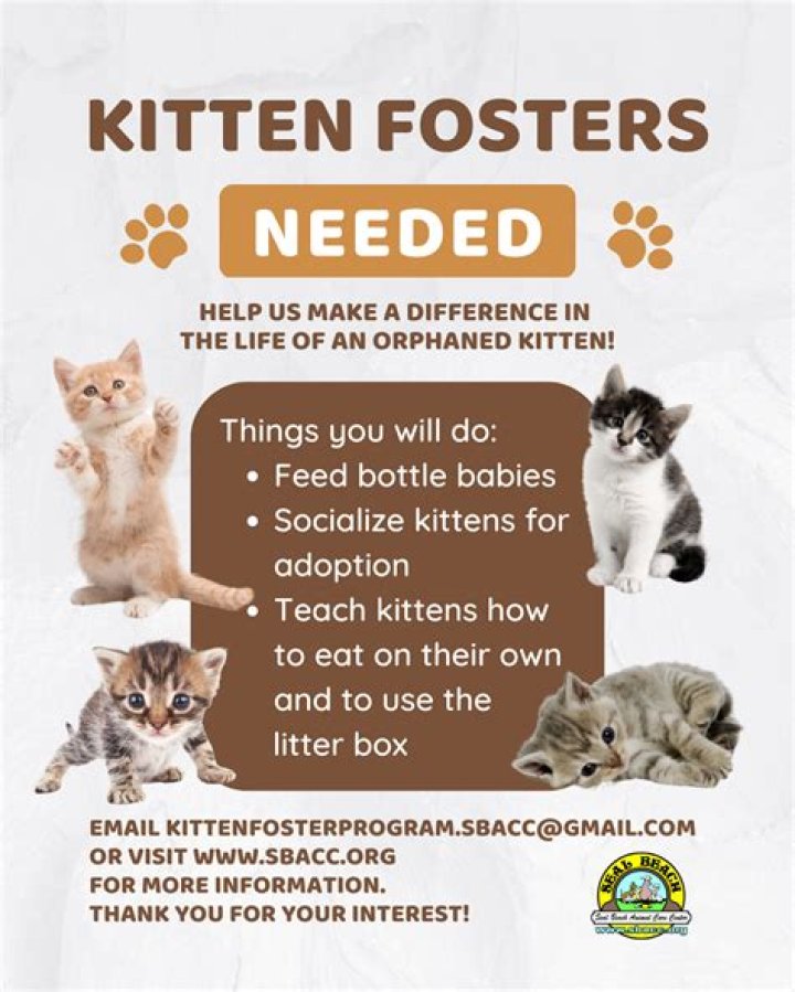 Do you get paid to foster kittens
