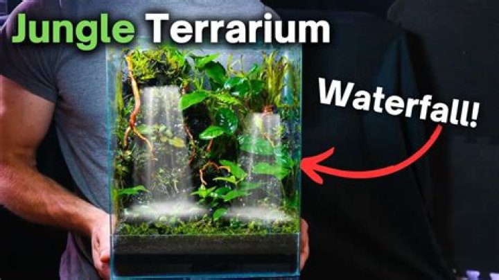 Do you have to water a terrarium