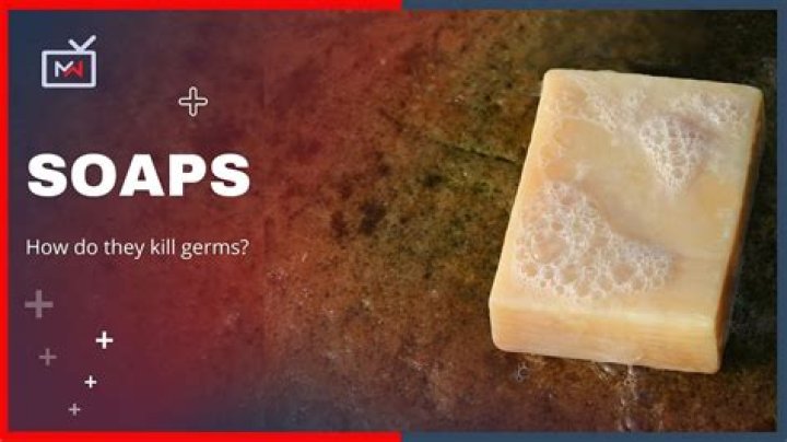 Does body soap kill germs