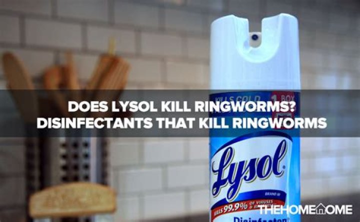 Does disinfectant kill ringworm