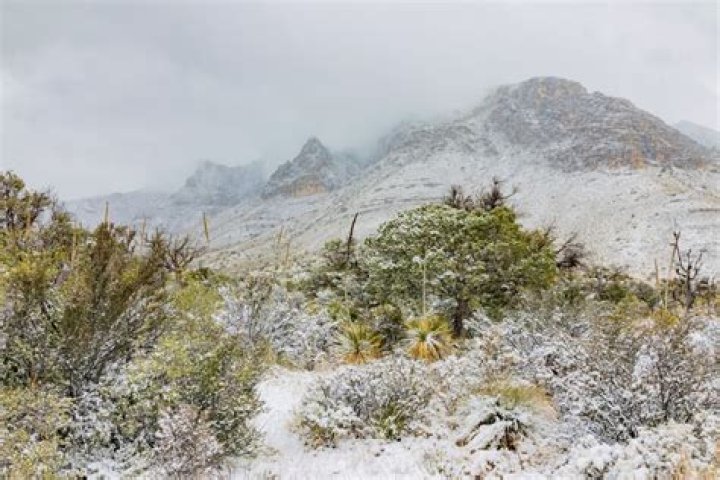 Does Guadalupe Peak have snow