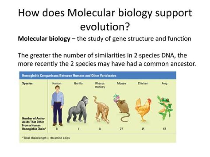Does molecular biology support evolution?