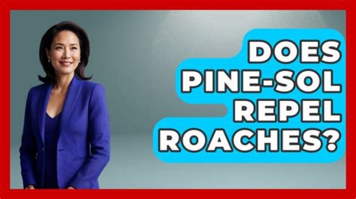 Does Pine Sol repel roaches