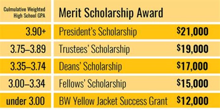 Does Pitt give merit scholarships?