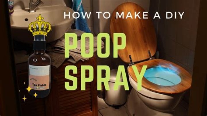 Does poop spray really work