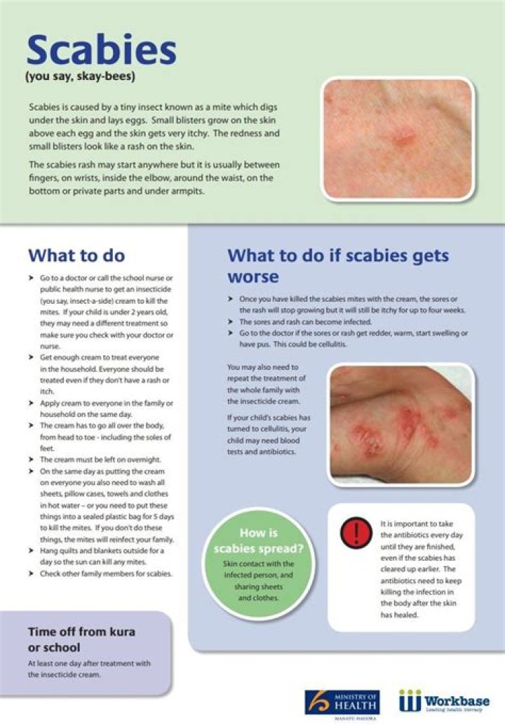 Does Scabies go away and come back?