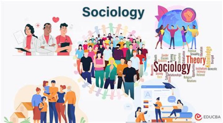 Does sociological research influence social policies