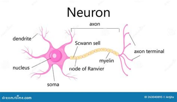 Does Soma relieve pain?